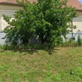 NÁBOŽENSKÁ OBEC CÍRKVE ČESKOSLOVENSKÉ HUSITSKÉ VE VELKÉM TÝNCI