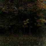 SBOR CÍRKVE BRATRSKÉ V HORNÍ SUCHÉ