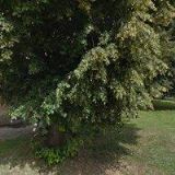 ŘÍMSKOKATOLICKÁ FARNOST Němčice nad Hanou