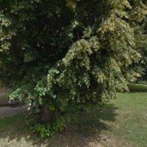 obrazek: avatar ŘÍMSKOKATOLICKÁ FARNOST Němčice nad Hanou