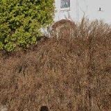 ŘÍMSKOKATOLICKÁ FARNOST Ostrava-Plesná