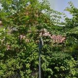 ŘÍMSKOKATOLICKÁ FARNOST Skalice u Frýdku-Místku