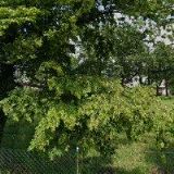 ŘÍMSKOKATOLICKÁ FARNOST Hnojník