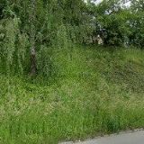 ŘÍMSKOKATOLICKÁ FARNOST Suchdol nad Odrou