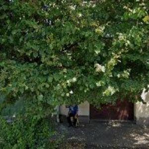 obrazek: avatar STROMY PRO BUDOUCNOST o.s.