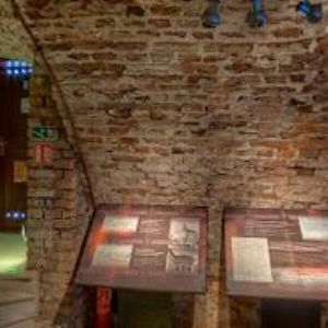 obrazek: avatar JESENÍKY-SDRUŽENÍ CESTOVNÍHO RUCHU