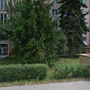 obrazek: avatar OBČANSKÉ SDRUŽENÍ PŘIJDU VČAS