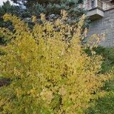 STŘEDISKO ROZVOJE KULTURY