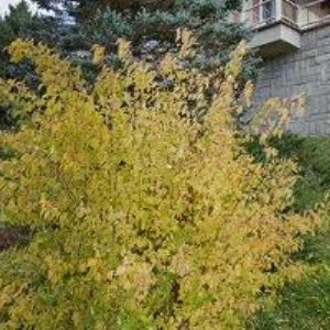 obrazek: avatar STŘEDISKO ROZVOJE KULTURY