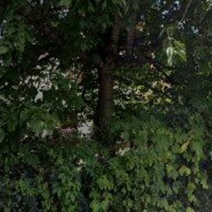 obrazek: avatar ZIMOVČÁK ADAM Dr.