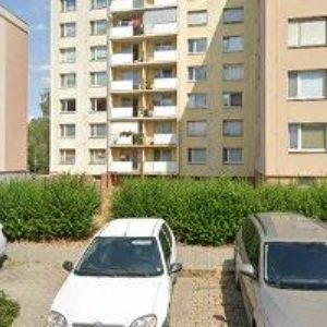 obrazek: avatar CAPOEIRA OLOMOUC