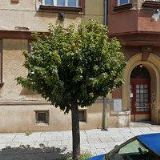 ALFA HANDICAP-SDRUŽENÍ OBČANŮ SE ZDRAVOTNÍM POSTIŽENÍM PŘEROVSKÉHO REGIONU