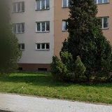 HELP KLUB, SDRUŽENÍ RODIČŮ A PŘÁTEL DĚTÍ S POSTIŽENÍM,