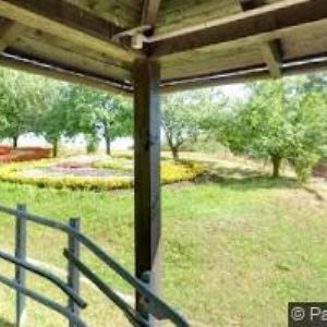 obrazek: avatar CHARITA HRABYNĚ