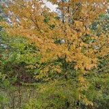 ASOCIACE SOUKROMÉHO ZEMĚDĚLSTVÍ OKRESU NOVÝ JIČÍN