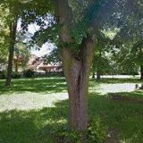 MÍSTNÍ SKUPINA POLSKÉHO KULTURNĚ-OSVĚTOVÉHO SVAZU V KARVINÉ-FRYŠTÁTĚ