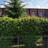 SDRUŽENÍ ROMŮ SEVERNÍ MORAVY