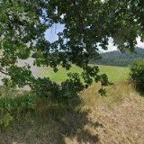 SDRUŽENÍ ZDRAVOTNĚ POSTIŽENÝCH OBČANŮ A JEJICH PŘÁTEL