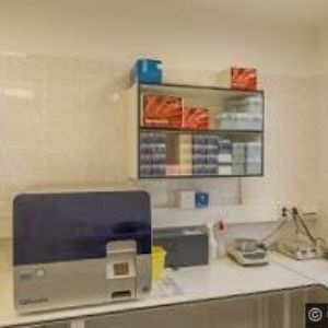 obrazek: avatar STÁTNÍ VETERINÁRNÍ ÚSTAV OLOMOUC