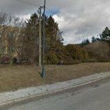 NADACE PROF. VEJDOVSKÉHO