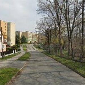 obrazek: avatar NADAČNÍ FOND TEPLO NA DLANI