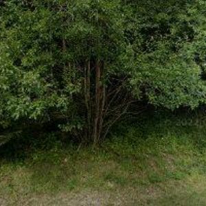 obrazek: avatar ČESKÝ SVAZ OCHRÁNCŮ PŘÍRODY JESENICKÁ DIVOČINA