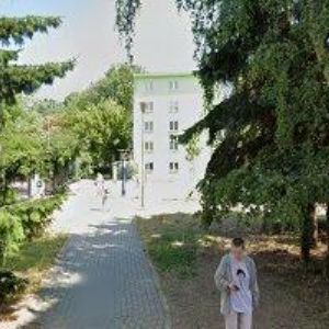 obrazek: avatar ČESKÝ SVAZ OCHRÁNCŮ PŘÍRODY ARION