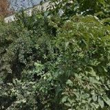 ČESKOMORAVSKÁ MYSLIVECKÁ JEDNOTA, OKRESNÍ MYSLIVECKÝ SPOLEK Olomouc