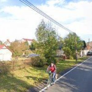 obrazek: avatar ČESKÝ RYBÁŘSKÝ SVAZ, MO Loštice