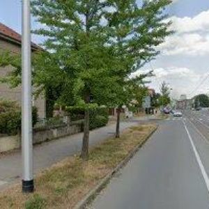 obrazek: avatar KYNOLOGICKÝ KLUB Olomouc-Neředín