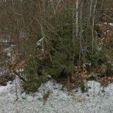 KYNOLOGICKÝ KLUB Hanušovice