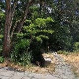 KYNOLOGICKÝ KLUB Bystrovany