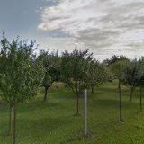 ČESKÝ SVAZ OCHRÁNCŮ PŘÍRODY ZO Kladky