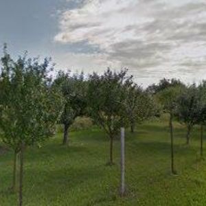 obrazek: avatar ČESKÝ SVAZ OCHRÁNCŮ PŘÍRODY ZO Kladky