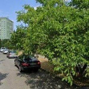 obrazek: avatar ZO ČSOP UPOLÍN