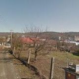 KYNOLOGICKÝ KLUB HVĚZDA Šternberk