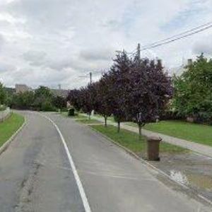 obrazek: avatar KYNOLOGICKÝ KLUB Babice