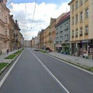 obrazek: avatar ČESKÝ ZAHRÁDKÁŘSKÝ SVAZ, základní organizace Opava-město