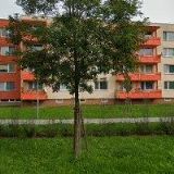 ČESKÝ SVAZ VČELAŘŮ, ZÁKLADNÍ ORGANIZACE Odry