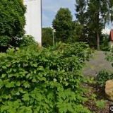 ČESKÝ SVAZ VČELAŘŮ, ZÁKLADNÍ ORGANIZACE Jeseník nad Odrou