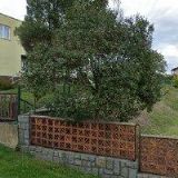 ČESKÝ SVAZ CHOVATELŮ, MĚSTSKÁ ORGANIZACE Ostrava