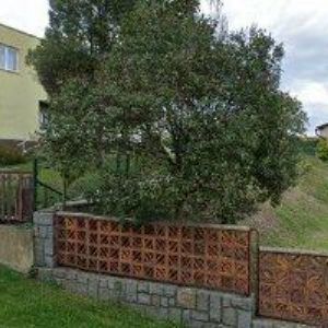 obrazek: avatar ČESKÝ SVAZ CHOVATELŮ, MĚSTSKÁ ORGANIZACE Ostrava