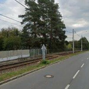obrazek: avatar ČESKÝ SVAZ OCHRÁNCŮ PŘÍRODY Nová Ostrava