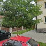 CHYTILOVÁ BLANKA MUDr.