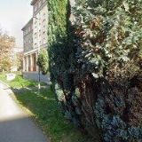 ORDINACE FROMED s.r.o.