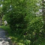 IRSÁKOVÁ JANA MUDr.