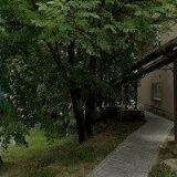 PAPALOVÁ MARIE MUDr.