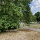 ŠANTAVÝ JIŘÍ Doc. MUDr.