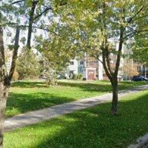 obrazek: avatar JS-GYNAM s.r.o.