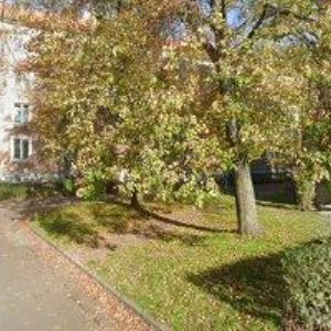 obrazek: avatar ULTRA GYN CENTER s.r.o.